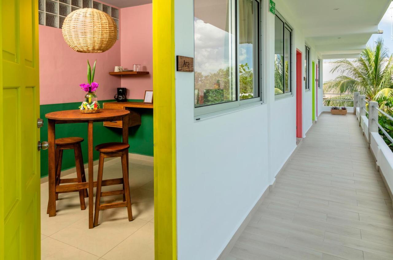Albatros By Bedsfriends (Adults Only) Ξενοδοχείο Κοζουμέλ Εξωτερικό φωτογραφία